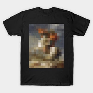 pixel naploeon T-Shirt